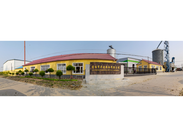 吉林市豐優(yōu)米業(yè)有限公司全景